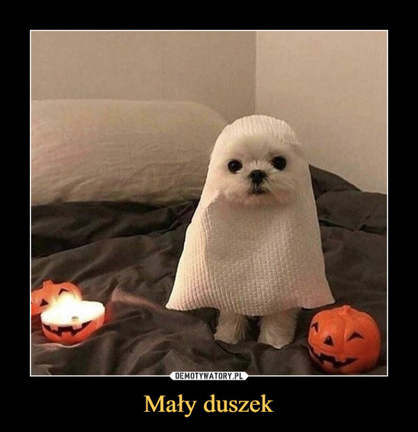 Mały duszek –  