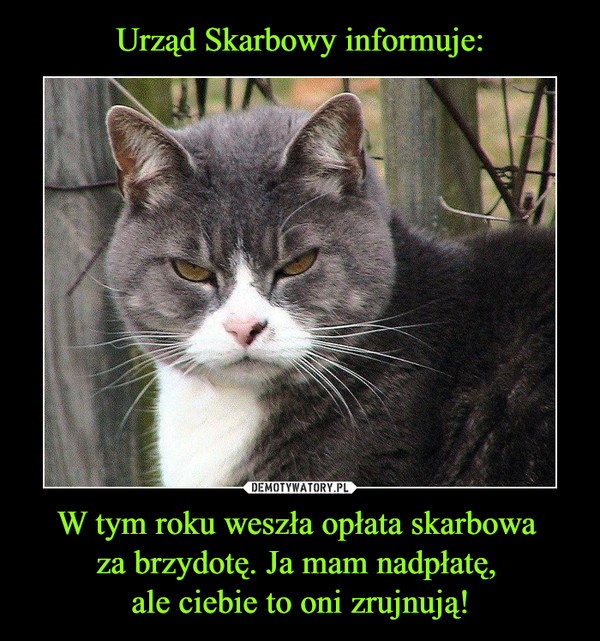 W tym roku weszła opłata skarbowa za brzydotę. Ja mam nadpłatę, ale ciebie to oni zrujnują! –  