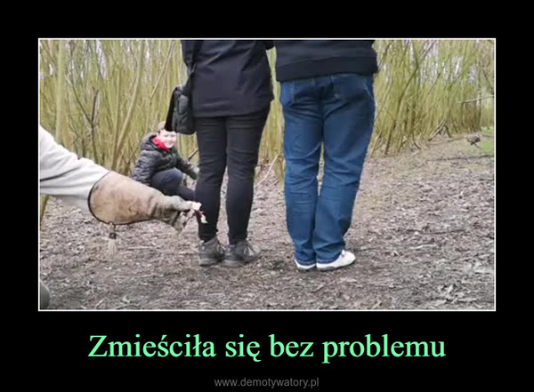 Zmieściła się bez problemu –  