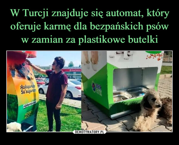  –  AcıkıyorumSu'suyorumPigdopamp8 Doad Ban