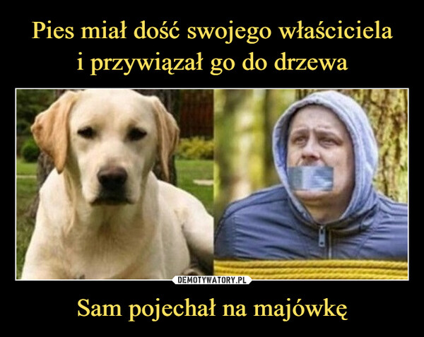 Sam pojechał na majówkę –  