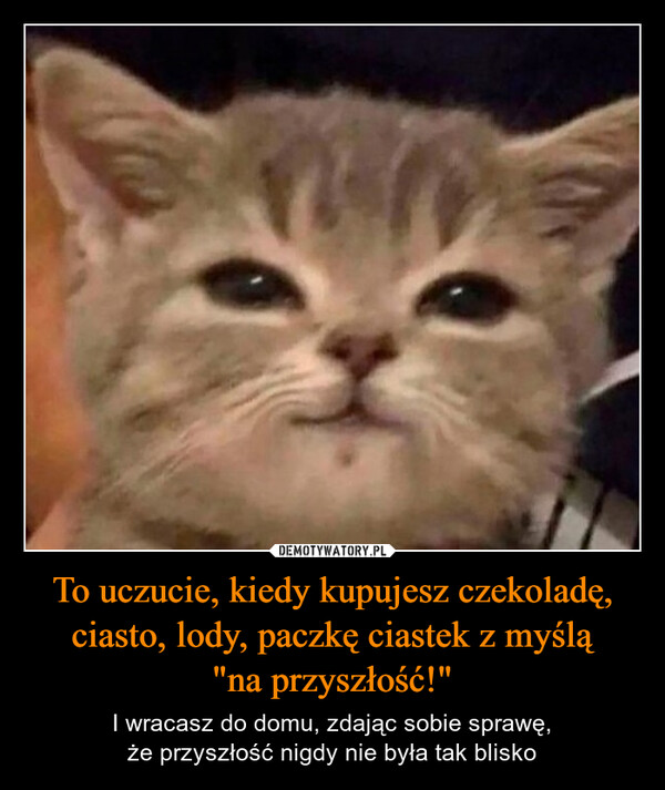 To uczucie, kiedy kupujesz czekoladę, ciasto, lody, paczkę ciastek z myślą"na przyszłość!" – I wracasz do domu, zdając sobie sprawę,że przyszłość nigdy nie była tak blisko 