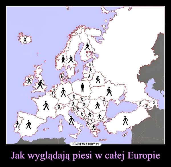 Jak wyglądają piesi w całej Europie –  