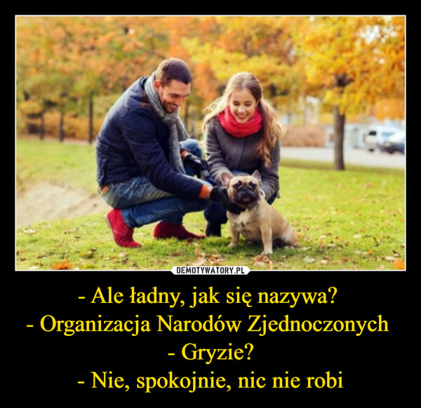 - Ale ładny, jak się nazywa? - Organizacja Narodów Zjednoczonych - Gryzie?- Nie, spokojnie, nic nie robi –  