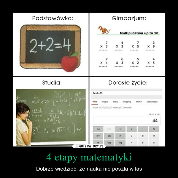 4 etapy matematyki – Dobrze wiedzieć, że nauka nie poszła w las 