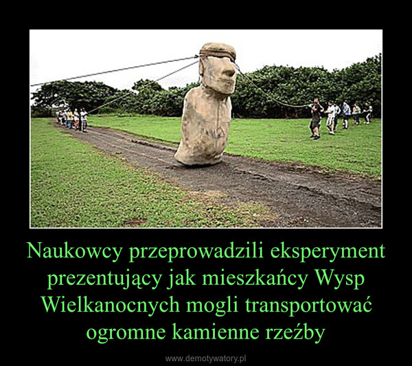 Naukowcy przeprowadzili eksperyment prezentujący jak mieszkańcy Wysp Wielkanocnych mogli transportować ogromne kamienne rzeźby –  