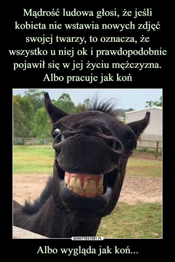 Albo wygląda jak koń... –  