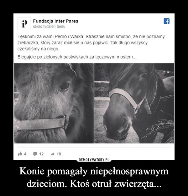 Konie pomagały niepełnosprawnym dzieciom. Ktoś otruł zwierzęta... –  9 Fundacja Inter Paresokoło tydzień temuTęsknimi za wami Pedro i Warka. Strasznie nam smutno, że nie poznamyźrebaczka, który zaraz miał się u nas pojawić. Tak długo wszyscyczekaliśmy na niego.Biegajcie po zielonych pastwiskach za tęczowym mostem.It 412A 18