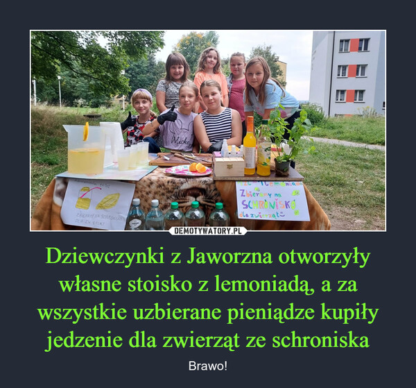 Dziewczynki z Jaworzna otworzyły własne stoisko z lemoniadą, a za wszystkie uzbierane pieniądze kupiły jedzenie dla zwierząt ze schroniska – Brawo! 