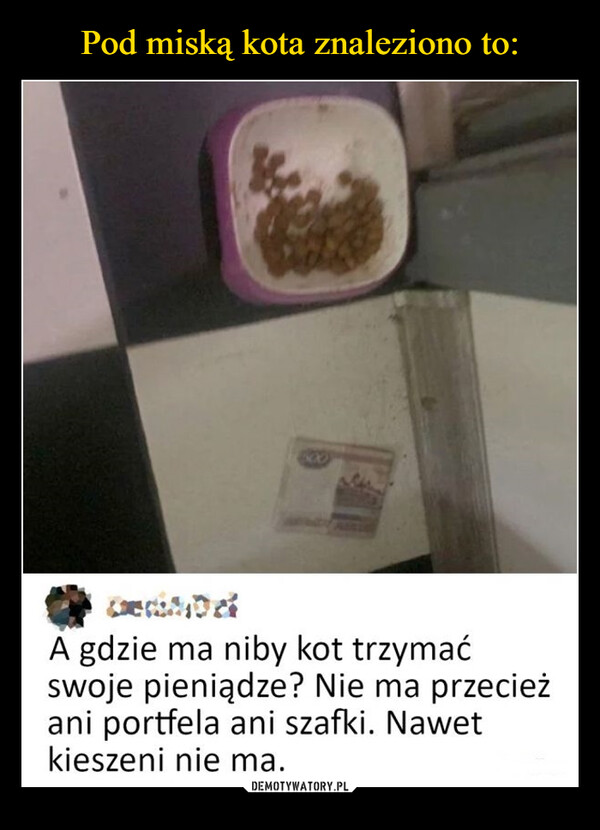  –  A gdzie ma niby kot trzymaćswoje pieniądze? Nie ma przecieżani portfela ani szafki. Nawetkieszeni nie ma.