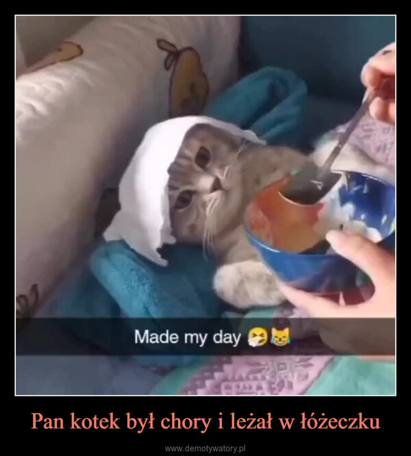 Pan kotek był chory i leżał w łóżeczku –  Made my dayE