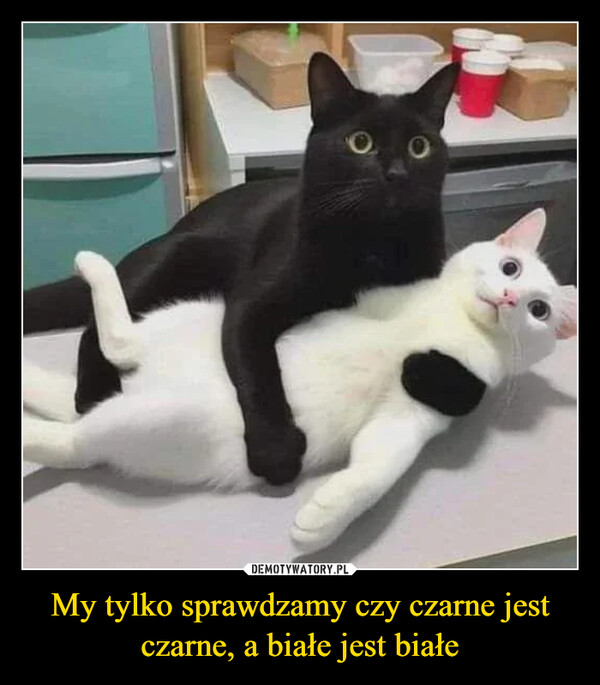 My tylko sprawdzamy czy czarne jest czarne, a białe jest białe –  