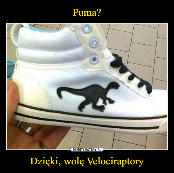 Dzięki, wolę Velociraptory –  