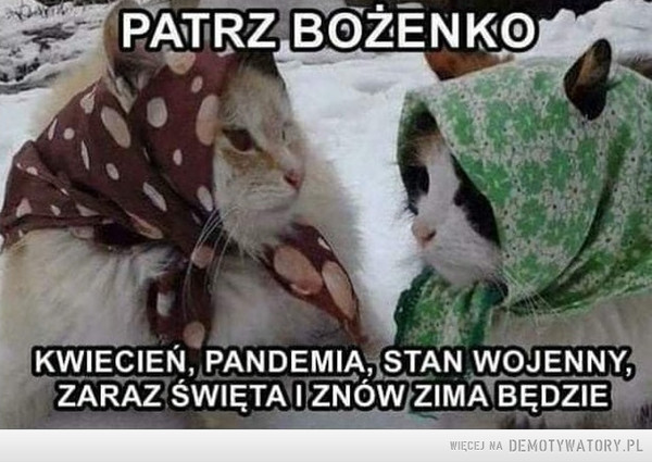 Czas płynie –  