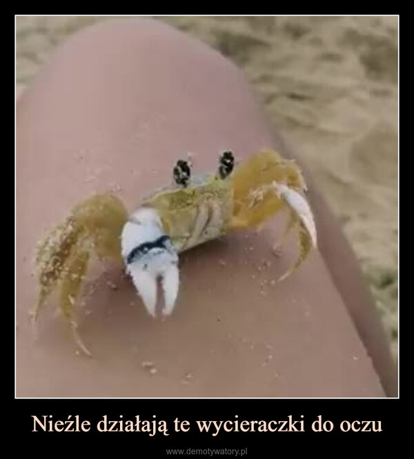 Nieźle działają te wycieraczki do oczu –  