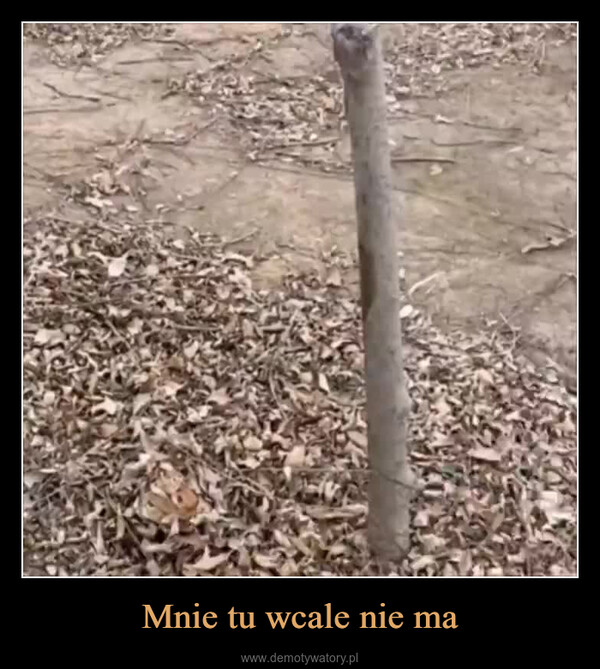 Mnie tu wcale nie ma –  