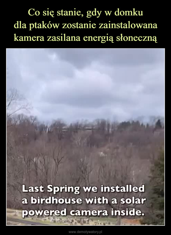  –  Last Spring we installeda birdhouse with a solarpowered camera inside.