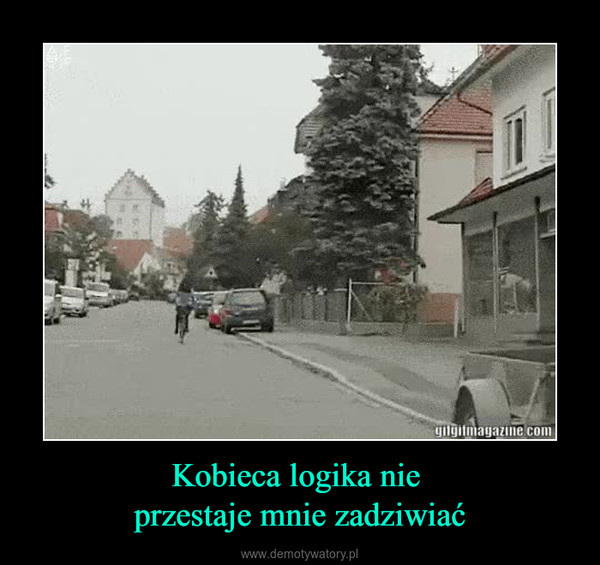 Kobieca logika nie przestaje mnie zadziwiać –  