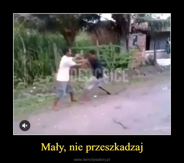 Mały, nie przeszkadzaj –  