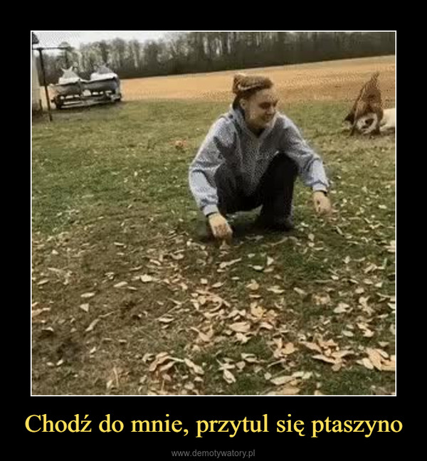 Chodź do mnie, przytul się ptaszyno –  