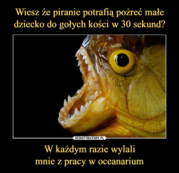 W każdym razie wylalimnie z pracy w oceanarium –  