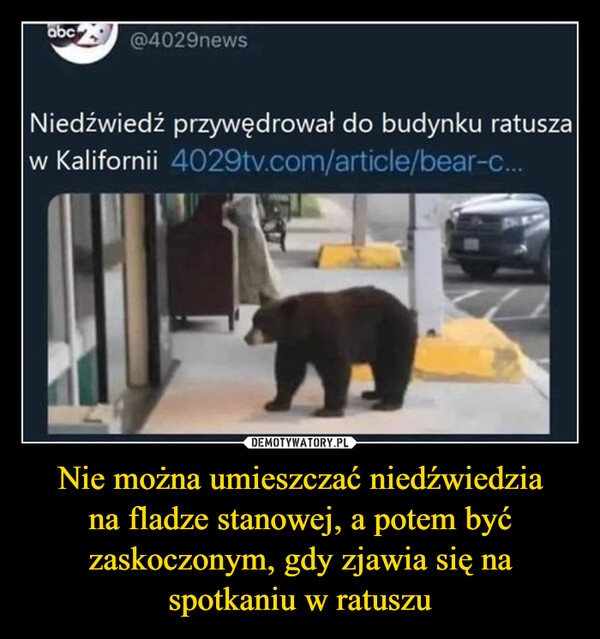 Nie można umieszczać niedźwiedziana fladze stanowej, a potem być zaskoczonym, gdy zjawia się na spotkaniu w ratuszu –  abc @4029newsNiedźwiedź przywędrował do budynku ratuszaw Kalifornii4029tv.com/article/bear-c...