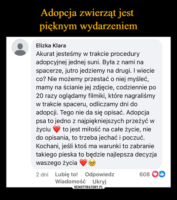  –  Elizka KlaraAkurat jesteśmy w trakcie proceduryadopcyjnej jednej suni. Była z nami naspacerze, jutro jedziemy na drugi. I wiecieco? Nie możemy przestać o niej myśleć,mamy na ścianie jej zdjęcie, codziennie po20 razy oglądamy filmiki, które nagraliśmyw trakcie spaceru, odliczamy dni doadopcji. Tego nie da się opisać. Adopcjapsa to jedno z najpiękniejszych przeżyć wżyciu to jest miłość na całe życie, niedo opisania, to trzeba jechać i poczuć.Kochani, jeśli ktoś ma warunki to zabranietakiego pieska to będzie najlepsza decyzjawaszego życia2 dni Lubię to! Odpowiedz608WiadomośćUkryj