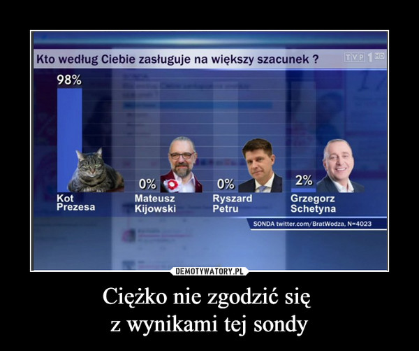 Ciężko nie zgodzić się z wynikami tej sondy –  Kto według Ciebie zasługuje na największy szacunek?Kot Prezesa Mateusz Kijowski Ryszard Petru Grzegorz Schetyna