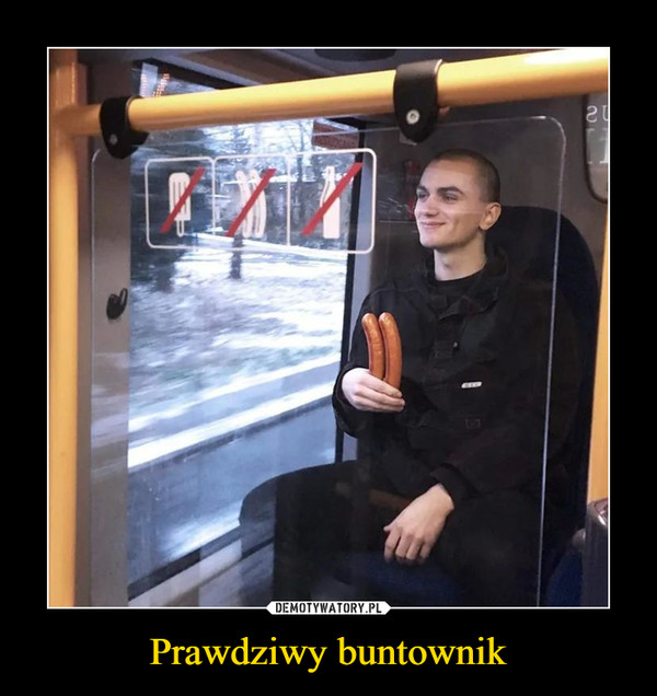 Prawdziwy buntownik –  