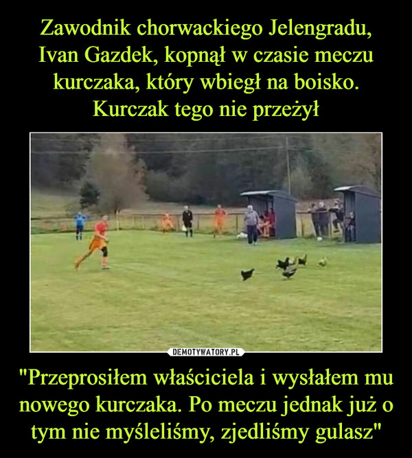 "Przeprosiłem właściciela i wysłałem mu nowego kurczaka. Po meczu jednak już o tym nie myśleliśmy, zjedliśmy gulasz" –  