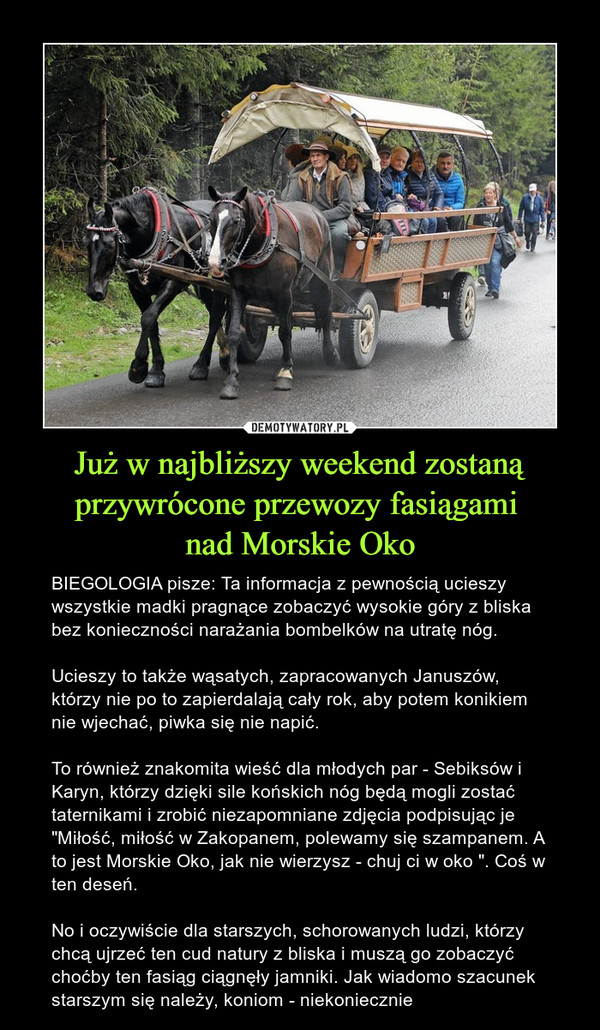 Już w najbliższy weekend zostaną przywrócone przewozy fasiągami nad Morskie Oko – BIEGOLOGIA pisze: Ta informacja z pewnością ucieszy wszystkie madki pragnące zobaczyć wysokie góry z bliska bez konieczności narażania bombelków na utratę nóg.Ucieszy to także wąsatych, zapracowanych Januszów, którzy nie po to zapierdalają cały rok, aby potem konikiem nie wjechać, piwka się nie napić.To również znakomita wieść dla młodych par - Sebiksów i Karyn, którzy dzięki sile końskich nóg będą mogli zostać taternikami i zrobić niezapomniane zdjęcia podpisując je "Miłość, miłość w Zakopanem, polewamy się szampanem. A to jest Morskie Oko, jak nie wierzysz - chuj ci w oko ". Coś w ten deseń.No i oczywiście dla starszych, schorowanych ludzi, którzy chcą ujrzeć ten cud natury z bliska i muszą go zobaczyć choćby ten fasiąg ciągnęły jamniki. Jak wiadomo szacunek starszym się należy, koniom - niekoniecznie 