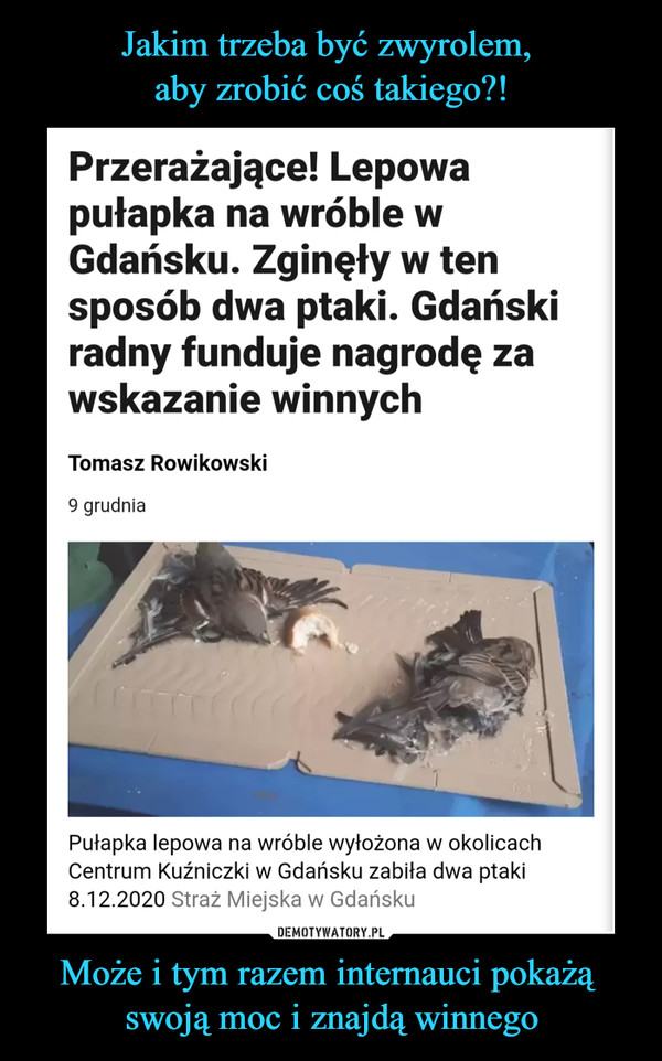 Może i tym razem internauci pokażą swoją moc i znajdą winnego –  Przerażające! Lepowa pułapka na wróble w Gdańsku. Zginęły w ten sposób dwa ptaki. Gdański radny funduje nagrodę za wskazanie winnychTomasz Rowikowski 9 grudnia Pułapka lepowa na wróble wyłożona w okolicach Centrum Kuźniczki w Gdańsku zabiła dwa ptaki 8.12.2020 Straż Miejska w Gdańsku