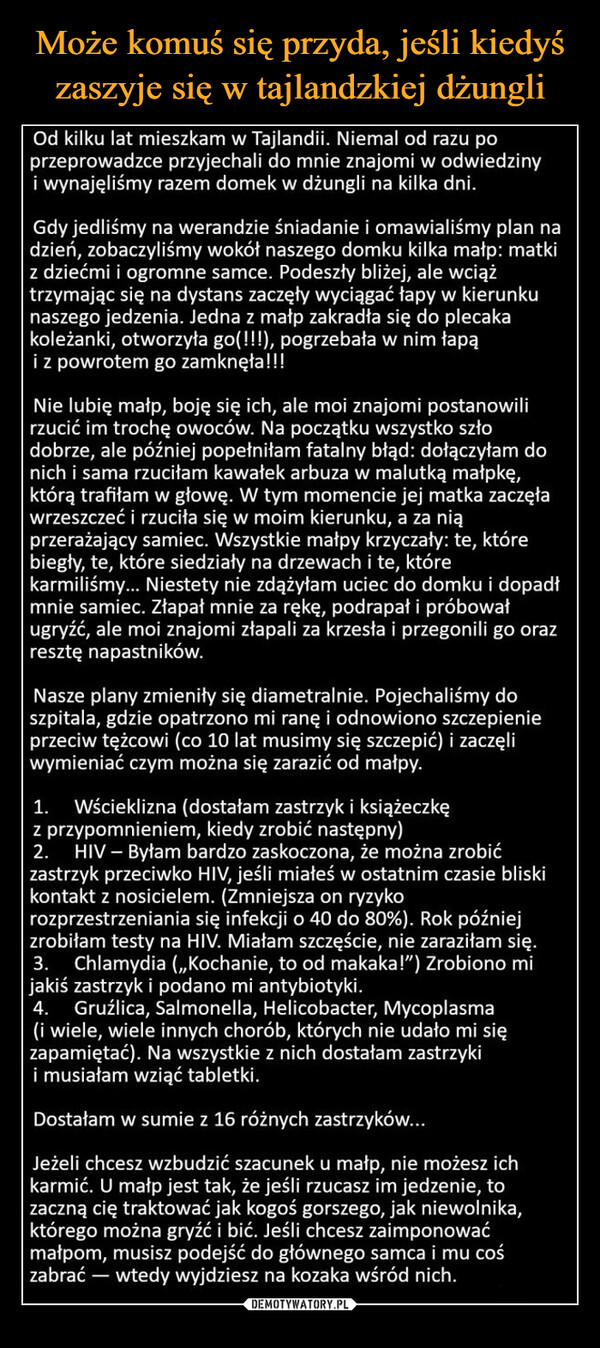  –  Od kilku lat mieszkam w Tajlandii. Niemal od razu poprzeprowadzce przyjechali do mnie znajomi w odwiedzinyi wynajęliśmy razem domek w dżungli na kilka dni.Gdy jedliśmy na werandzie śniadanie i omawialiśmy plan nadzień, zobaczyliśmy wokół naszego domku kilka małp: matkiz dziećmi i ogromne samce. Podeszły bliżej, ale wciążtrzymając się na dystans zaczęły wyciągać łapy w kierunkunaszego jedzenia. Jedna z małp zakradła się do plecakakoleżanki, otworzyła go(!!!), pogrzebała w nim łapąi z powrotem go zamknęła!!!Nie lubię małp, boję się ich, ale moi znajomi postanowilirzucić im trochę owoców. Na początku wszystko szłodobrze, ale później popełniłam fatalny błąd: dołączyłam donich i sama rzuciłam kawałek arbuza w malutką małpkę,którą trafiłam w głowę. W tym momencie jej matka zaczęławrzeszczeć i rzuciła się w moim kierunku, a za niąprzerażający samiec. Wszystkie małpy krzyczały: te, którebiegły, te, które siedziały na drzewach i te, którekarmiliśmy... Niestety nie zdążyłam uciec do domku i dopadłmnie samiec. Złapał mnie za rękę, podrapał i próbowaługryźć, ale moi znajomi złapali za krzesła i przegonili go orazresztę napastników.Nasze plany zmieniły się diametralnie. Pojechaliśmy doszpitala, gdzie opatrzono mi ranę i odnowiono szczepienieprzeciw tężcowi (co 10 lat musimy się szczepić) i zaczęliwymieniać czym można się zarazić od małpy.1. Wścieklizna (dostałam zastrzyk i książeczkęz przypomnieniem, kiedy zrobić następny)2. HIV - Byłam bardzo zaskoczona, że można zrobićzastrzyk przeciwko HIV, jeśli miałeś w ostatnim czasie bliskikontakt z nosicielem. (Zmniejsza on ryzykorozprzestrzeniania się infekcji o 40 do 80%). Rok późniejzrobiłam testy na HIV. Miałam szczęście, nie zaraziłam się.3. Chlamydia (,,Kochanie, to od makaka!") Zrobiono mijakiś zastrzyk i podano mi antybiotyki.4. Gruźlica, Salmonella, Helicobacter, Mycoplasma(i wiele, wiele innych chorób, których nie udało mi sięzapamiętać). Na wszystkie z nich dostałam zastrzykii musiałam wziąć tabletki.Dostałam w sumie z 16 różnych zastrzyków...Jeżeli chcesz wzbudzić szacunek u małp, nie możesz ichkarmić. U małp jest tak, że jeśli rzucasz im jedzenie, tozaczną cię traktować jak kogoś gorszego, jak niewolnika,którego można gryźć i bić. Jeśli chcesz zaimponowaćmałpom, musisz podejść do głównego samca i mu cośzabrać wtedy wyjdziesz na kozaka wśród nich.