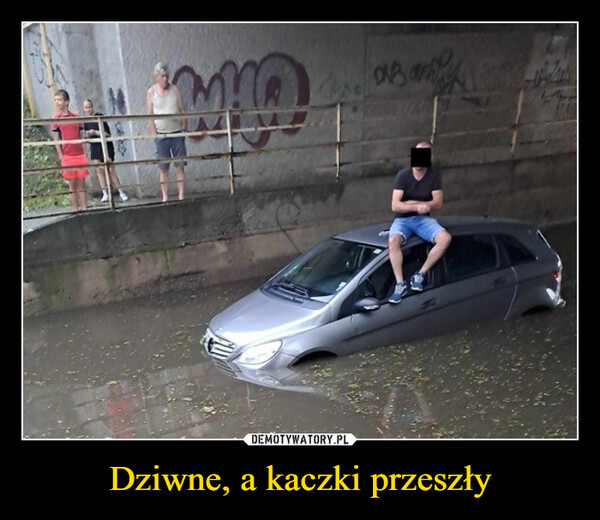 Dziwne, a kaczki przeszły –  หา4. Barill