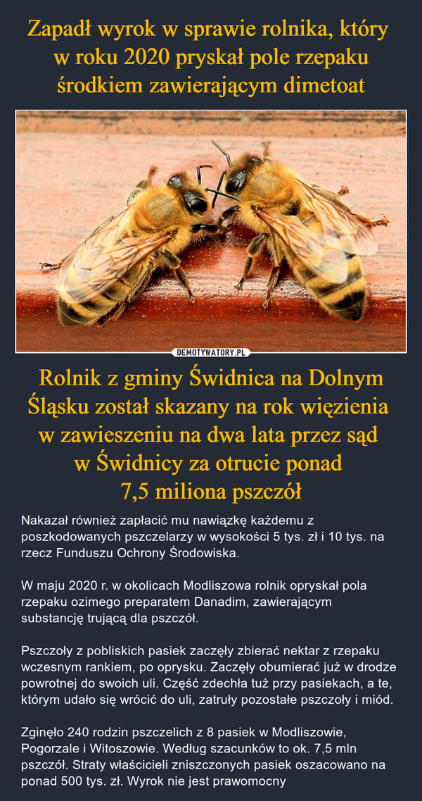 Rolnik z gminy Świdnica na Dolnym Śląsku został skazany na rok więzienia w zawieszeniu na dwa lata przez sąd w Świdnicy za otrucie ponad 7,5 miliona pszczół – Nakazał również zapłacić mu nawiązkę każdemu z poszkodowanych pszczelarzy w wysokości 5 tys. zł i 10 tys. na rzecz Funduszu Ochrony Środowiska.W maju 2020 r. w okolicach Modliszowa rolnik opryskał pola rzepaku ozimego preparatem Danadim, zawierającym substancję trującą dla pszczół.Pszczoły z pobliskich pasiek zaczęły zbierać nektar z rzepaku wczesnym rankiem, po oprysku. Zaczęły obumierać już w drodze powrotnej do swoich uli. Część zdechła tuż przy pasiekach, a te, którym udało się wrócić do uli, zatruły pozostałe pszczoły i miód.Zginęło 240 rodzin pszczelich z 8 pasiek w Modliszowie, Pogorzale i Witoszowie. Według szacunków to ok. 7,5 mln pszczół. Straty właścicieli zniszczonych pasiek oszacowano na ponad 500 tys. zł. Wyrok nie jest prawomocny 