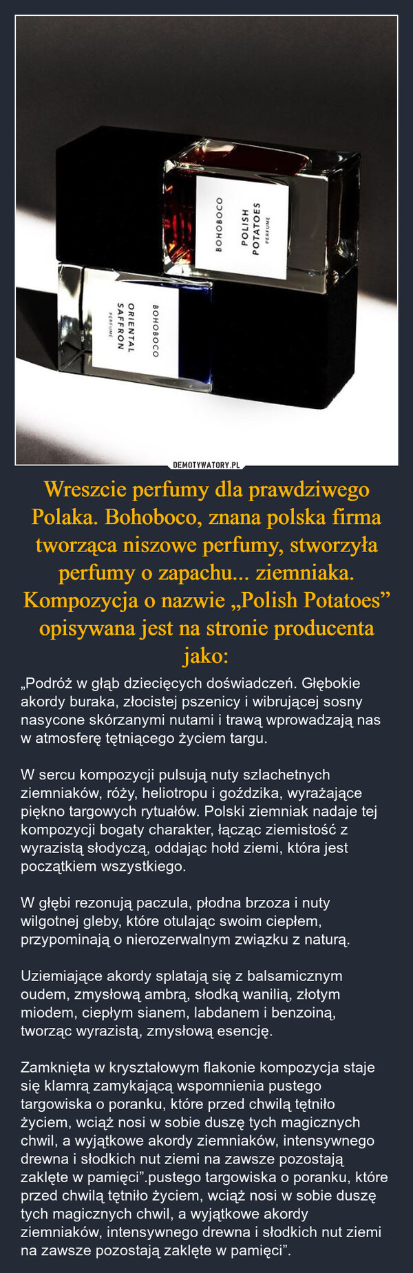 Wreszcie perfumy dla prawdziwego Polaka. Bohoboco, znana polska firma tworząca niszowe perfumy, stworzyła perfumy o zapachu... ziemniaka. Kompozycja o nazwie „Polish Potatoes” opisywana jest na stronie producenta jako: – „Podróż w głąb dziecięcych doświadczeń. Głębokie akordy buraka, złocistej pszenicy i wibrującej sosny nasycone skórzanymi nutami i trawą wprowadzają nas w atmosferę tętniącego życiem targu.W sercu kompozycji pulsują nuty szlachetnych ziemniaków, róży, heliotropu i goździka, wyrażające piękno targowych rytuałów. Polski ziemniak nadaje tej kompozycji bogaty charakter, łącząc ziemistość z wyrazistą słodyczą, oddając hołd ziemi, która jest początkiem wszystkiego.W głębi rezonują paczula, płodna brzoza i nuty wilgotnej gleby, które otulając swoim ciepłem, przypominają o nierozerwalnym związku z naturą.Uziemiające akordy splatają się z balsamicznym oudem, zmysłową ambrą, słodką wanilią, złotym miodem, ciepłym sianem, labdanem i benzoiną, tworząc wyrazistą, zmysłową esencję.Zamknięta w kryształowym flakonie kompozycja staje się klamrą zamykającą wspomnienia pustego targowiska o poranku, które przed chwilą tętniło życiem, wciąż nosi w sobie duszę tych magicznych chwil, a wyjątkowe akordy ziemniaków, intensywnego drewna i słodkich nut ziemi na zawsze pozostają zaklęte w pamięci”.pustego targowiska o poranku, które przed chwilą tętniło życiem, wciąż nosi w sobie duszę tych magicznych chwil, a wyjątkowe akordy ziemniaków, intensywnego drewna i słodkich nut ziemi na zawsze pozostają zaklęte w pamięci”. BOHOBOCOPERFUMEPOTATOESPOLISHBOHOBOCOORIENTALSAFFRONPERFUME