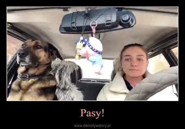 Pasy! –  