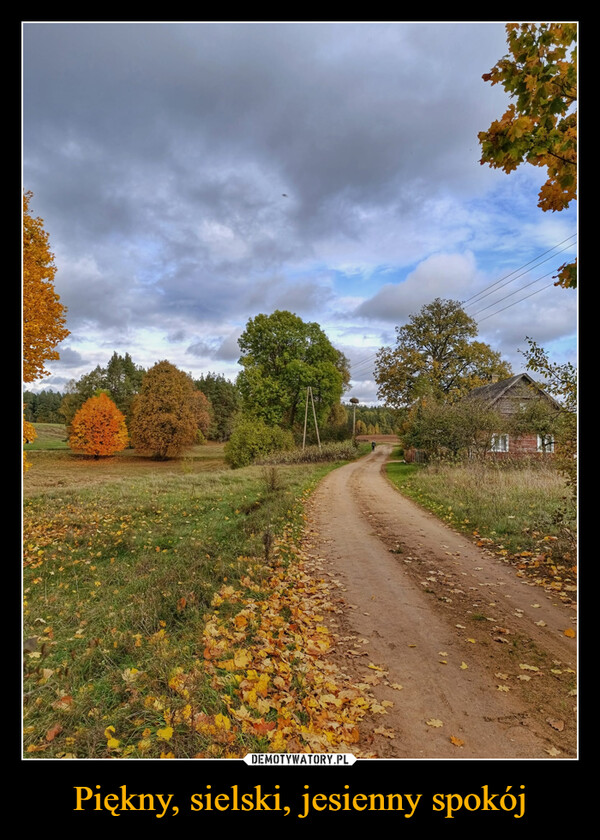 Piękny, sielski, jesienny spokój –  