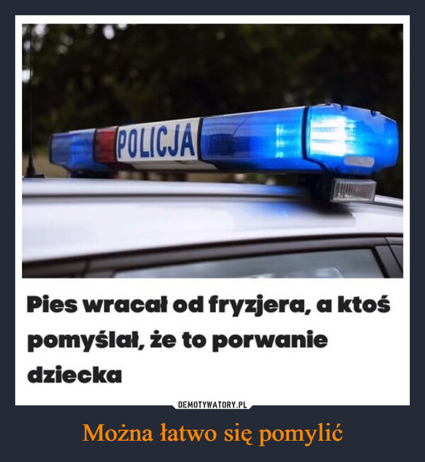 Można łatwo się pomylić –  POLICJAPies wracał od fryzjera, a ktośpomyślał, że to porwaniedziecka