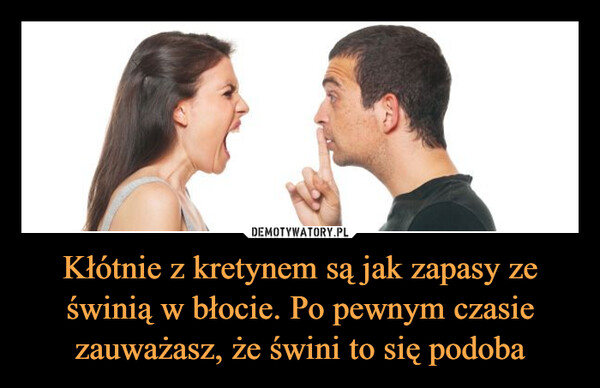 Kłótnie z kretynem są jak zapasy ze świnią w błocie. Po pewnym czasie zauważasz, że świni to się podoba –  