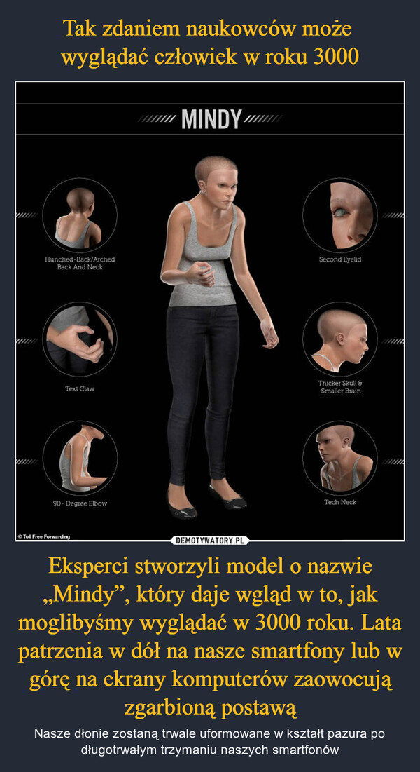 Eksperci stworzyli model o nazwie „Mindy”, który daje wgląd w to, jak moglibyśmy wyglądać w 3000 roku. Lata patrzenia w dół na nasze smartfony lub w górę na ekrany komputerów zaowocują zgarbioną postawą – Nasze dłonie zostaną trwale uformowane w kształt pazura po długotrwałym trzymaniu naszych smartfonów 