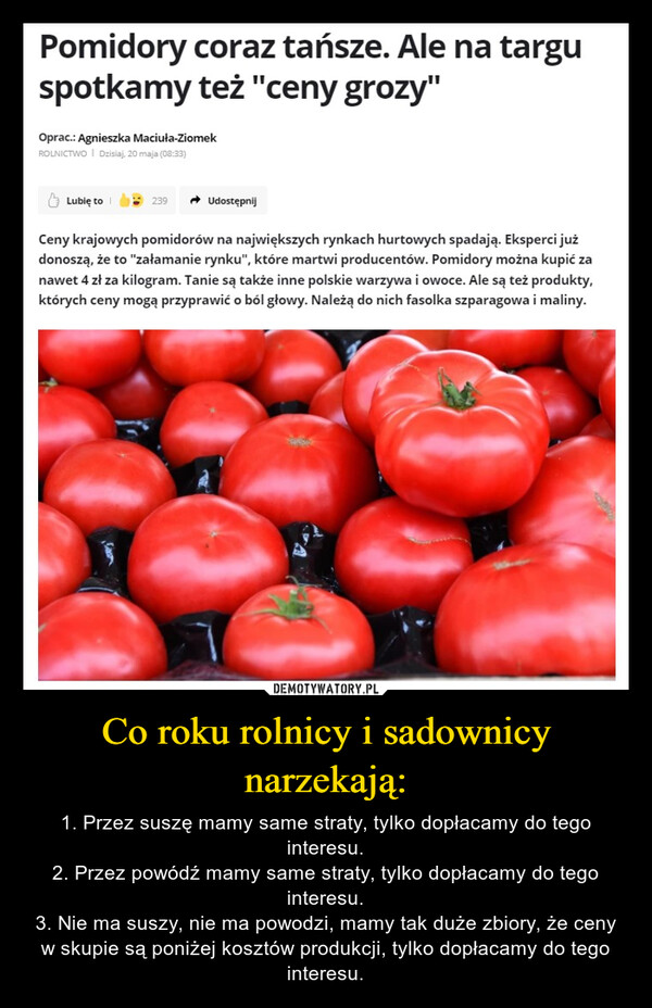 Co roku rolnicy i sadownicy narzekają: – 1. Przez suszę mamy same straty, tylko dopłacamy do tego interesu.2. Przez powódź mamy same straty, tylko dopłacamy do tego interesu.3. Nie ma suszy, nie ma powodzi, mamy tak duże zbiory, że ceny w skupie są poniżej kosztów produkcji, tylko dopłacamy do tego interesu. Pomidory coraz tańsze. Ale na targuspotkamy też "ceny grozy"Oprac.: Agnieszka Maciuła-ZiomekROLNICTWO | Dzisiaj, 20 maja (08:33)Lubię to239UdostępnijCeny krajowych pomidorów na największych rynkach hurtowych spadają. Eksperci jużdonoszą, że to "załamanie rynku", które martwi producentów. Pomidory można kupić zanawet 4 zł za kilogram. Tanie są także inne polskie warzywa i owoce. Ale są też produkty,których ceny mogą przyprawić o ból głowy. Należą do nich fasolka szparagowa i maliny.