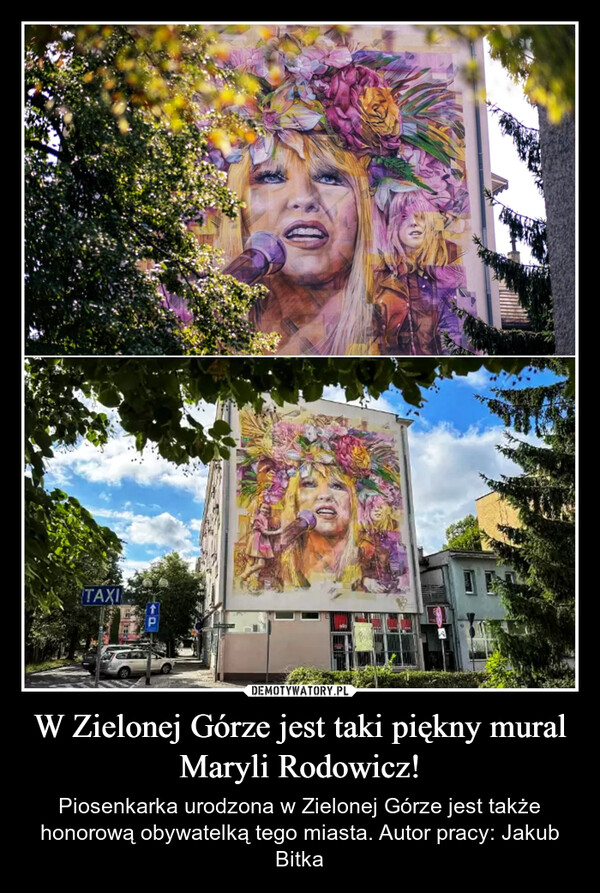 W Zielonej Górze jest taki piękny mural Maryli Rodowicz! – Piosenkarka urodzona w Zielonej Górze jest także honorową obywatelką tego miasta. Autor pracy: Jakub Bitka TAXIPbla