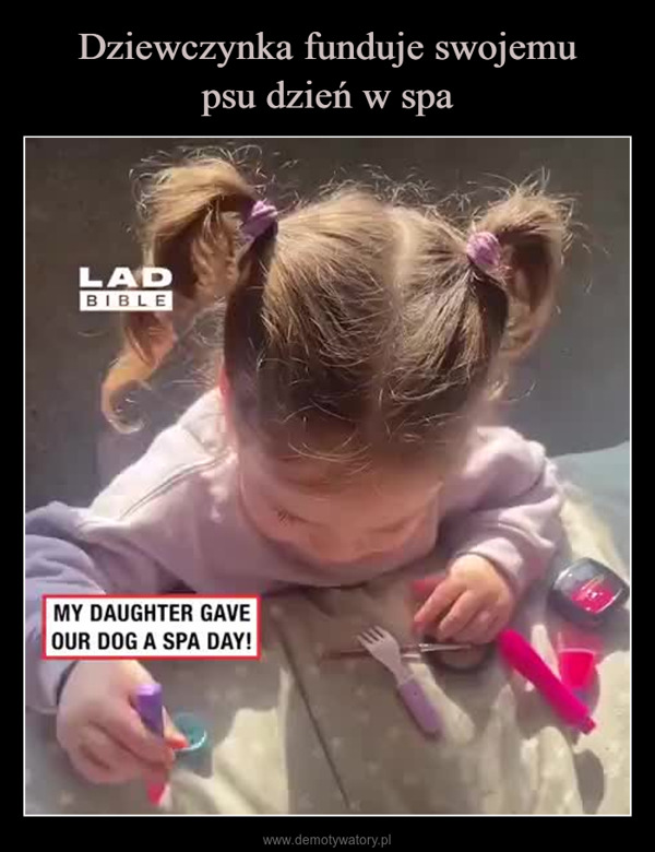  –  LADBIBLEMY DAUGHTER GAVEOUR DOG A SPA DAY!