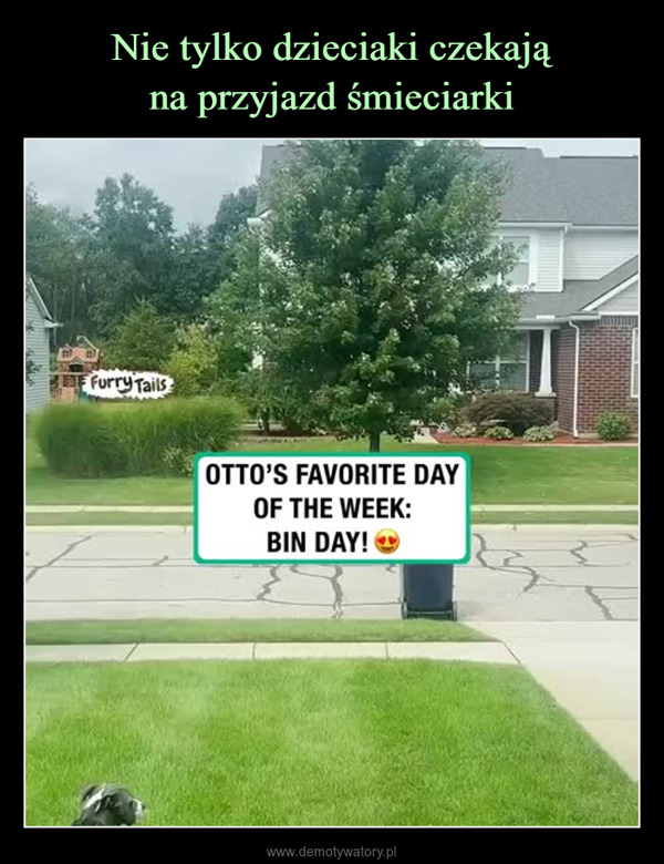  –  Furry TailsOTTO'S FAVORITE DAYOF THE WEEK:BIN DAY! →