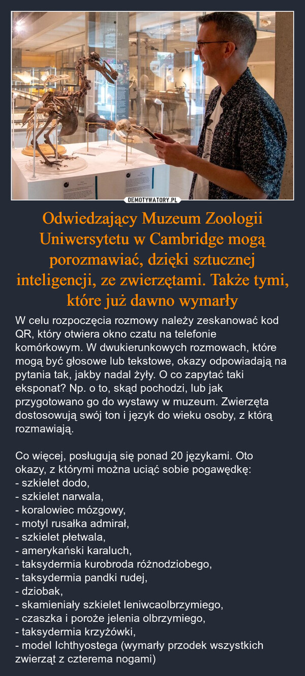 Odwiedzający Muzeum Zoologii Uniwersytetu w Cambridge mogą porozmawiać, dzięki sztucznej inteligencji, ze zwierzętami. Także tymi, które już dawno wymarły – W celu rozpoczęcia rozmowy należy zeskanować kod QR, który otwiera okno czatu na telefonie komórkowym. W dwukierunkowych rozmowach, które mogą być głosowe lub tekstowe, okazy odpowiadają na pytania tak, jakby nadal żyły. O co zapytać taki eksponat? Np. o to, skąd pochodzi, lub jak przygotowano go do wystawy w muzeum. Zwierzęta dostosowują swój ton i język do wieku osoby, z którą rozmawiają.Co więcej, posługują się ponad 20 językami. Oto okazy, z którymi można uciąć sobie pogawędkę:- szkielet dodo,- szkielet narwala,- koralowiec mózgowy,- motyl rusałka admirał,- szkielet płetwala,- amerykański karaluch,- taksydermia kurobroda różnodziobego,- taksydermia pandki rudej,- dziobak,- skamieniały szkielet leniwcaolbrzymiego,- czaszka i poroże jelenia olbrzymiego,- taksydermia krzyżówki,- model Ichthyostega (wymarły przodek wszystkich zwierząt z czterema nogami) UPPEGALLERYDDEN