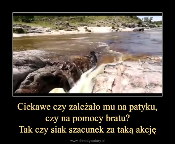 Ciekawe czy zależało mu na patyku,czy na pomocy bratu?Tak czy siak szacunek za taką akcję –  