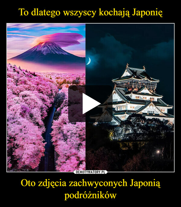 Oto zdjęcia zachwyconych Japonią podróżników –  