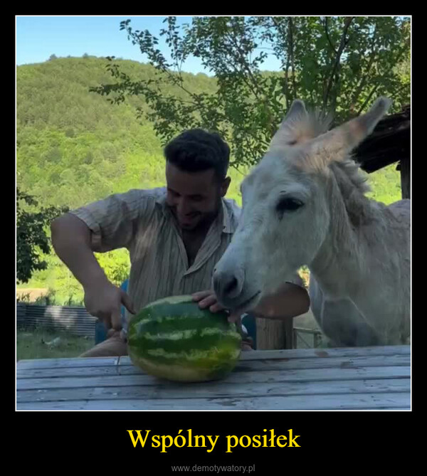 Wspólny posiłek –  