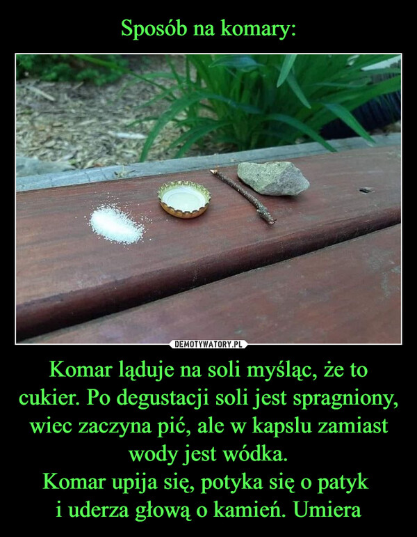 Komar ląduje na soli myśląc, że to cukier. Po degustacji soli jest spragniony, wiec zaczyna pić, ale w kapslu zamiast wody jest wódka.Komar upija się, potyka się o patyk i uderza głową o kamień. Umiera –  